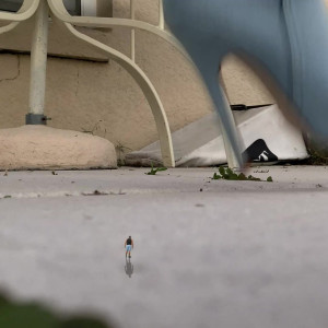 Video by worldunseenfilms published on March 3,2023 00:39:00 - BestThots