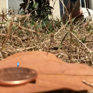 Video by worldunseenfilms published on April 28,2023 00:37:00 - BestThots