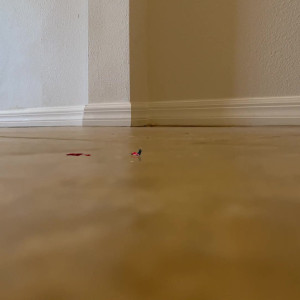 Video by worldunseenfilms published on March 8,2023 01:30:00 - BestThots