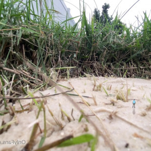 worldunseenfilms #4848326