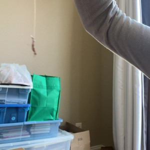 Video by worldunseenfilms published on June 17,2023 23:25:00 - BestThots