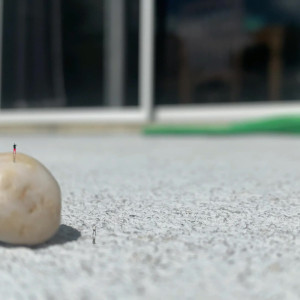 Video by worldunseenfilms published on June 7,2023 07:03:00 - BestThots