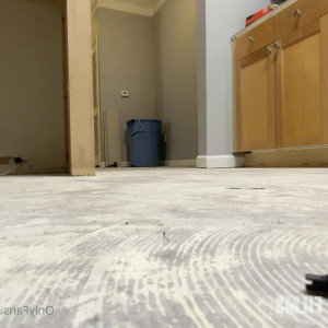 Video by worldunseenfilms published on May 7,2023 00:52:00 - BestThots