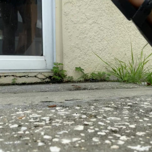 Video by worldunseenfilms published on March 18,2023 11:17:00 - BestThots