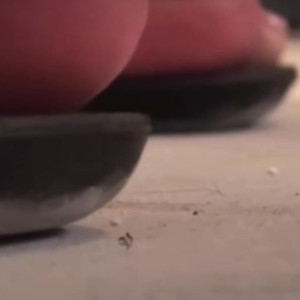 Video by worldunseenfilms published on April 8,2023 14:26:00 - BestThots