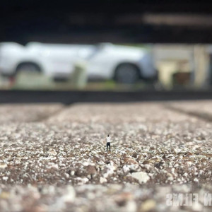 worldunseenfilms #5110190