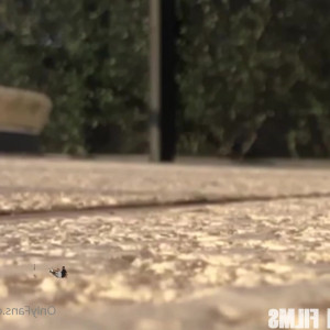 Video by worldunseenfilms published on March 28,2023 07:04:00 - BestThots