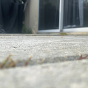 Video by worldunseenfilms published on March 2,2023 10:36:00 - BestThots