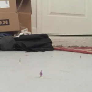 worldunseenfilms #5233731