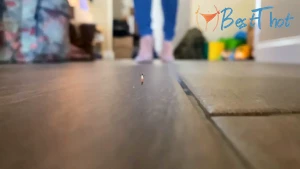 worldunseenfilms #9756361