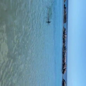 Video by toochi_vip published on July 15,2023 23:50:00 - BestThots