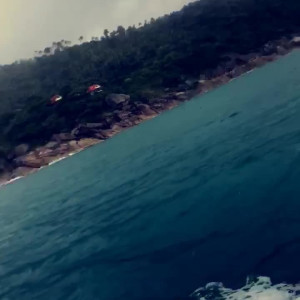 Video by toochi_vip published on June 26,2023 09:08:00 - BestThots