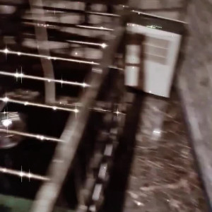 Video by lady__samira published on May 2,2023 06:50:00 - BestThots