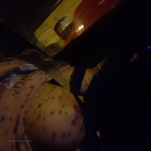 Video by dorothyblack_vip published on July 12,2023 13:19:00 - BestThots