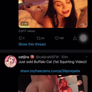 catjiratv #3360266