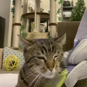 Video by spo0pykitten published on April 26,2023 01:09:00 - BestThots