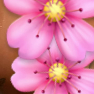 Video by alexmucci published on July 1,2023 07:49:00 - BestThots