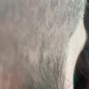 Video by alexmucci published on August 19,2023 10:26:00 - BestThots