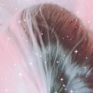 Video by akn_k0 published on April 7,2023 00:52:00 - BestThots