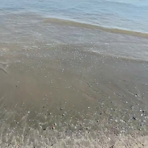 Video by tiffsworld published on July 26,2023 02:32:00 - BestThots