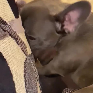 Video by mspalomares published on May 23,2023 00:59:00 - BestThots