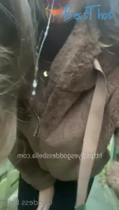 Video by thecruelmistress published on January 17,2025 12:01:11 - BestThots