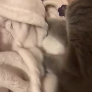 Video by hannahowo published on May 28,2023 21:12:00 - BestThots