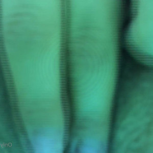 Video by daddysluder published on June 2,2023 17:41:00 - BestThots