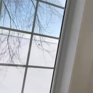 Video by orenda published on March 12,2023 22:16:00 - BestThots