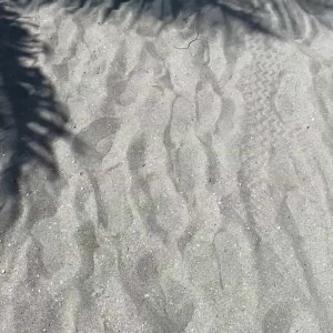 Video by sweetesthangsfeet published on April 30,2023 08:29:00 - BestThots