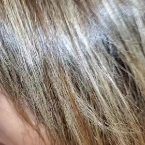 Video by laurenthegaqueen published on October 31,2023 15:05:01 - BestThots