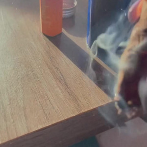 Video by onlyjordanprendergast published on July 15,2023 12:19:00 - BestThots