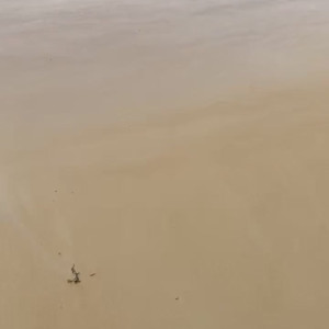 Video by onlyjordanprendergast published on June 9,2023 12:04:00 - BestThots
