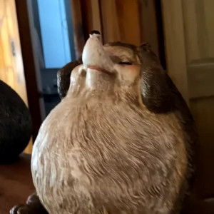 Video by onlyjordanprendergast published on May 19,2023 15:16:00 - BestThots
