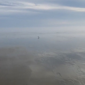 Video by onlyjordanprendergast published on July 8,2023 16:13:00 - BestThots