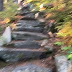 Video by onlyjordanprendergast published on April 20,2023 18:07:00 - BestThots