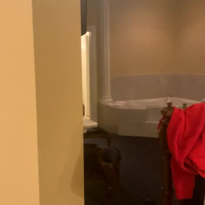 Video by onlyjordanprendergast published on April 10,2023 07:02:00 - BestThots