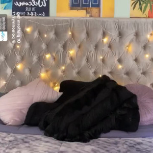 Video by onlyjordanprendergast published on April 12,2023 00:14:00 - BestThots