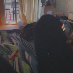 Video by onlyjordanprendergast published on April 19,2023 20:34:00 - BestThots