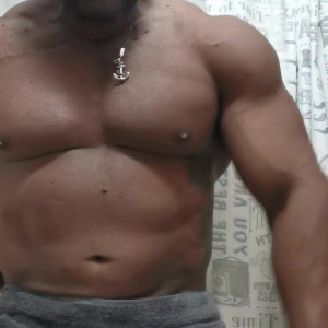 assis_bull #5263101