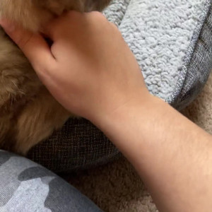 Video by nixlynka published on April 11,2023 15:47:00 - BestThots