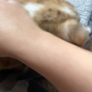 Video by nixlynka published on May 15,2023 17:05:00 - BestThots