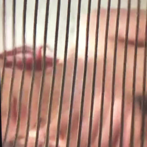 Video by itskaylaerin published on May 14,2023 19:46:00 - BestThots