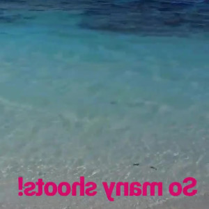 Video by itskaylaerin published on July 10,2023 05:51:00 - BestThots