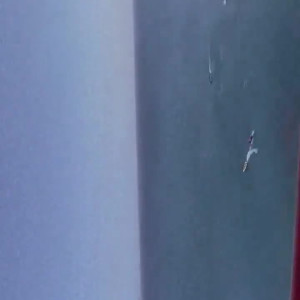 Video by marianaacruzz01 published on March 2,2023 04:36:00 - BestThots