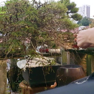 Video by newivy_cb published on April 4,2023 03:38:00 - BestThots
