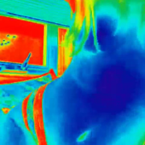 Video by lacylotus published on March 28,2023 03:26:00 - BestThots