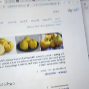 nextdoorvixen #5337727