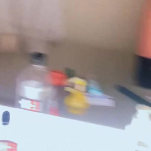bambicat #5234768