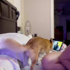 Video by christianandcassiedp published on May 21,2023 23:47:00 - BestThots